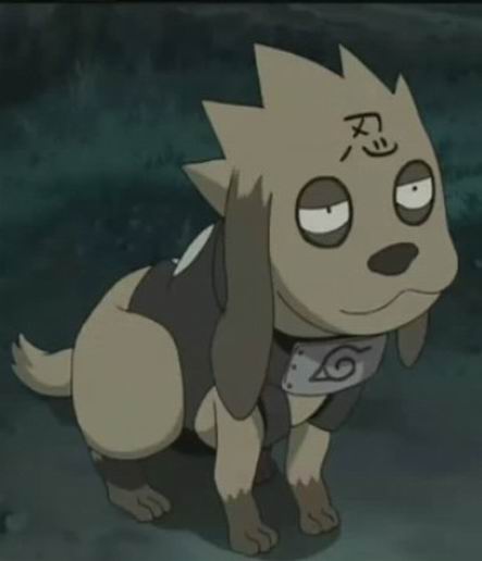  p>火影忍者中卡卡西通灵出的八忍犬之一. /p>