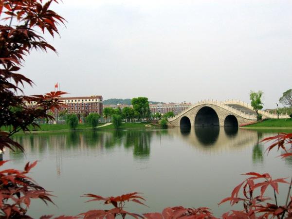 安徽科技学院化学与材料工程学院