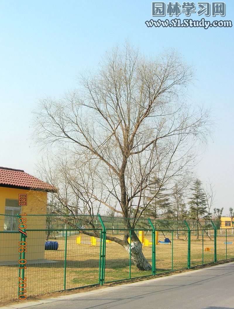 东起胜利村路南下,西至 a target="_blank" href="/item/苜蓿园大街