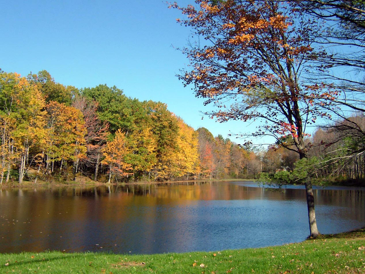 z94cv">落叶阔叶林是 a target="_blank" href="/item/温带/1696780"