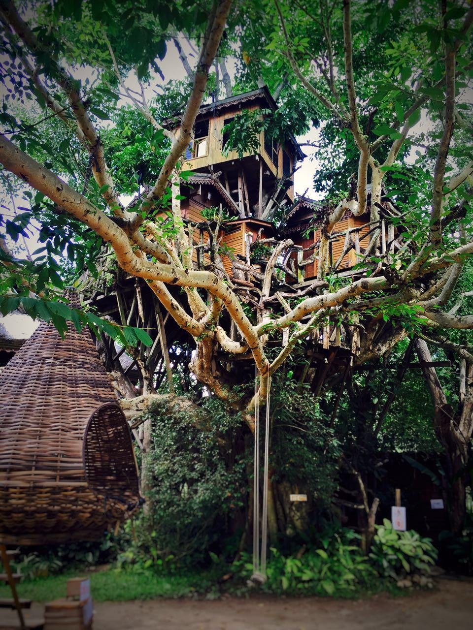 湖北神农架树屋