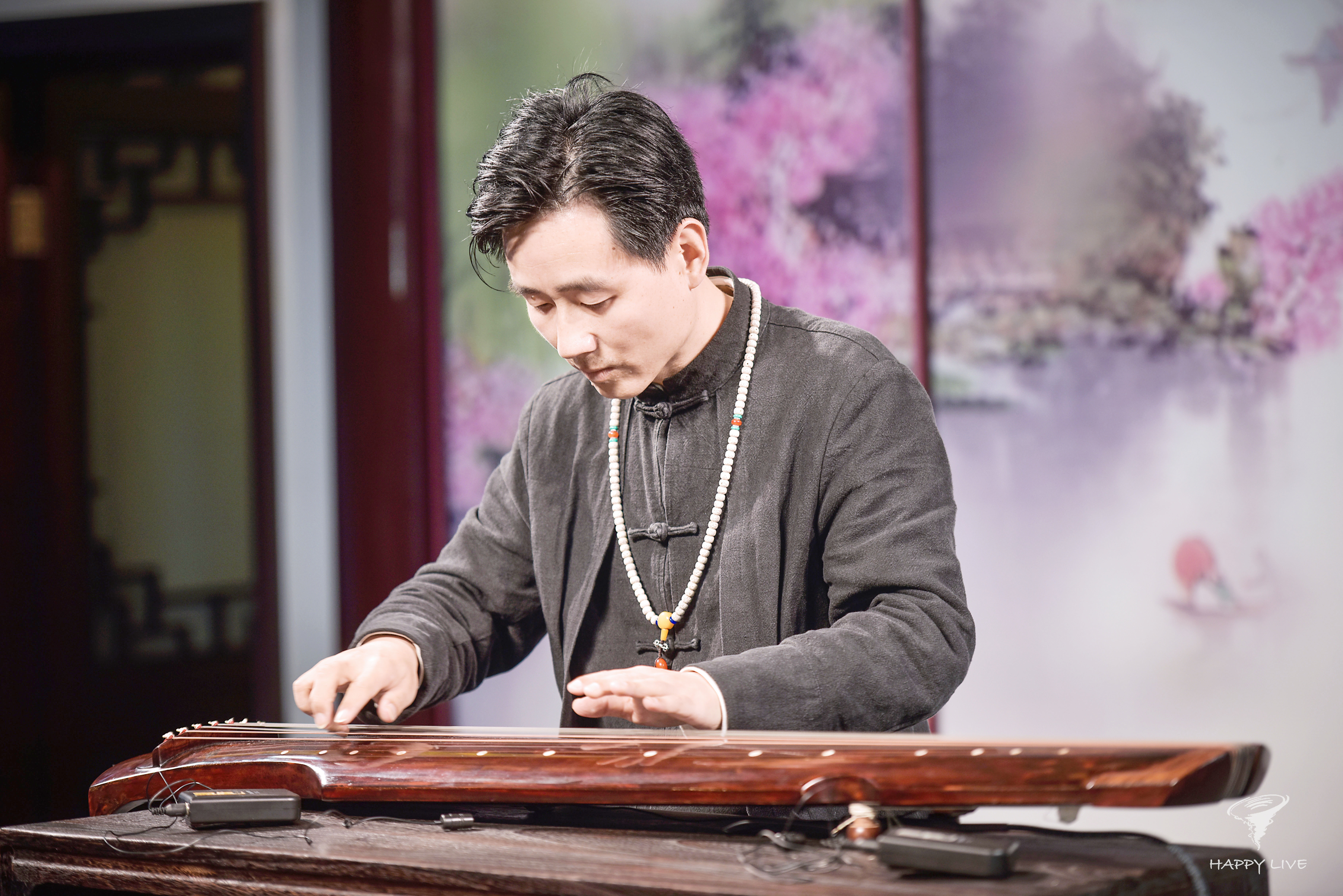 hb50r">王先宏, span class="psl-tag">安徽合肥人, /span>古琴演奏家