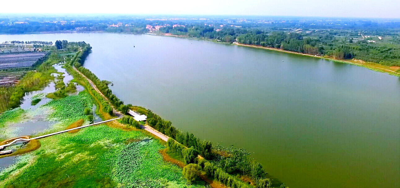 江苏丰县黄河故道大沙河国家湿地公园