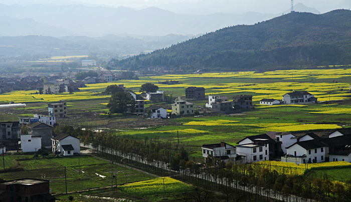炎陵县高端网站建设_(炎陵县2021年重点项目)