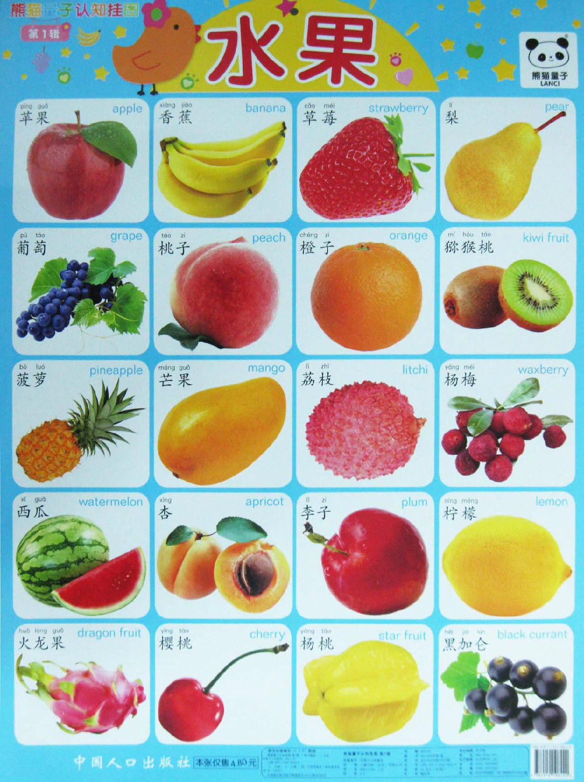 熊猫量子认知挂图:水果