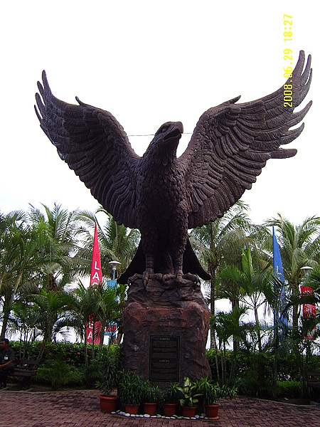  p>爪哇鹰雕(学名:nisaetus bartelsi)是 a href="#" data-lemmaid="