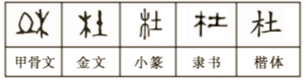 杜（汉语汉字）_百度百科