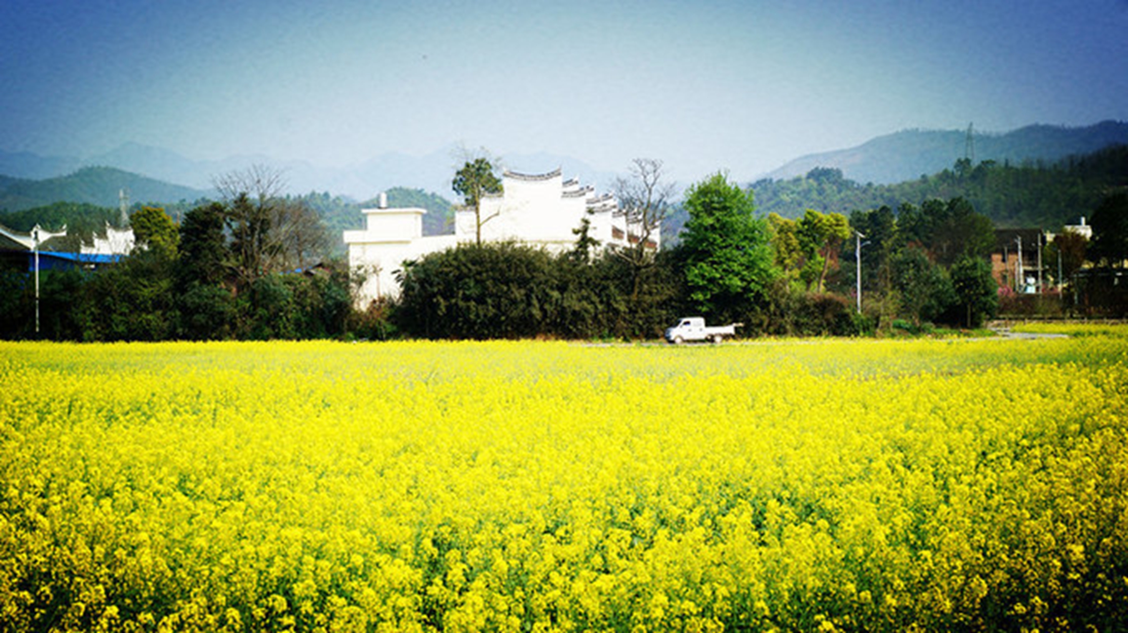 郴州市安仁稻田公园