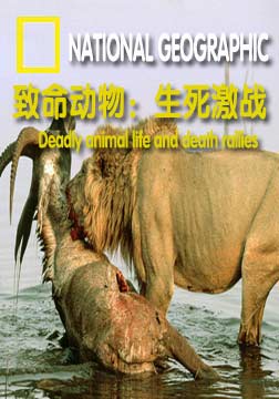 致命动物:生死激战