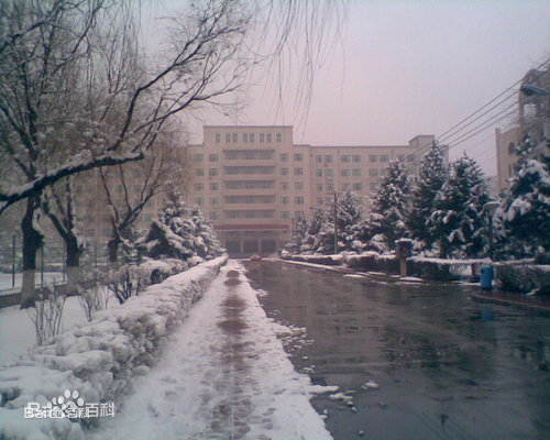 吉林大学和平校区风光图册