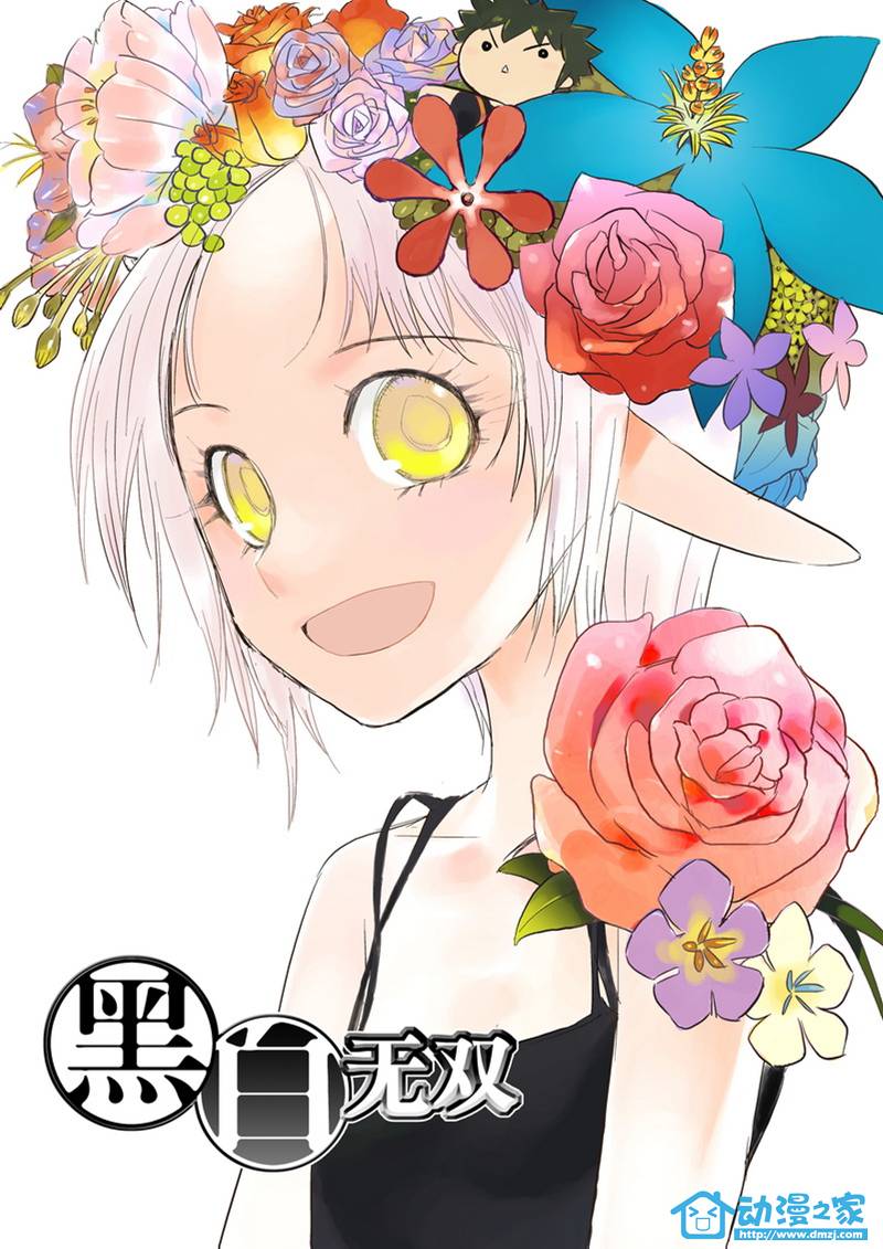  p>《黑白无双》,曾用名《黑白无常》,是漫画家于彦舒所创作的少年