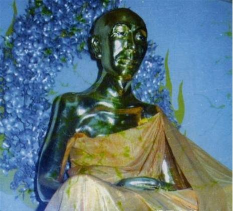  p>肉身舍利是指 a href="#" data-lemmaid="163332">佛教 /a>一个特