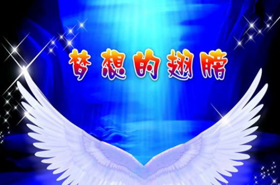 梦想的翅膀