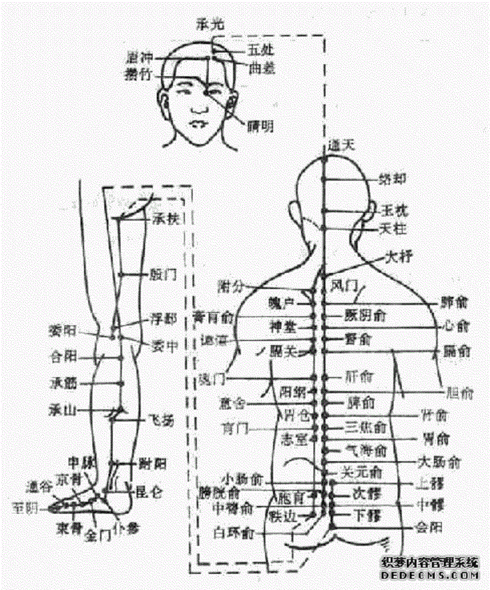 《灵枢·骨空》:"项发以下至背骨长二寸半,膂骨以下至 a target="