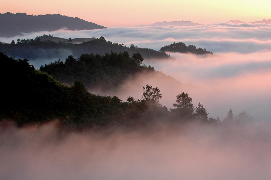  p>青川摩天岭,地处四川盆地西北边缘,龙门山西北侧,摩天岭南麓,海拔
