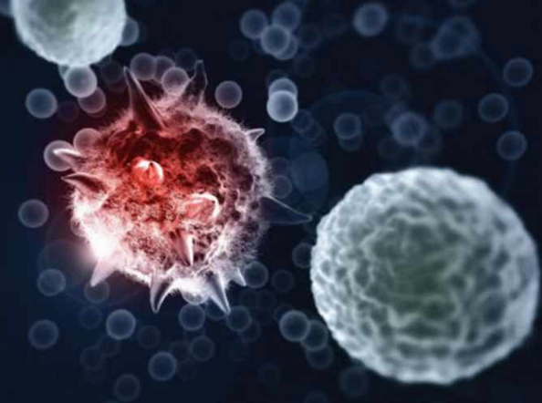  p>柯萨奇病毒(coxsackievirus)是一种 a href="#" data-lemmaid="