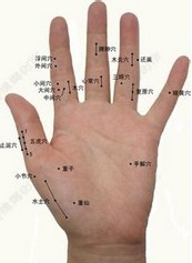 2of921">手指的感觉神经是由颈段脊髓分出的神经根分布到手和手指上的
