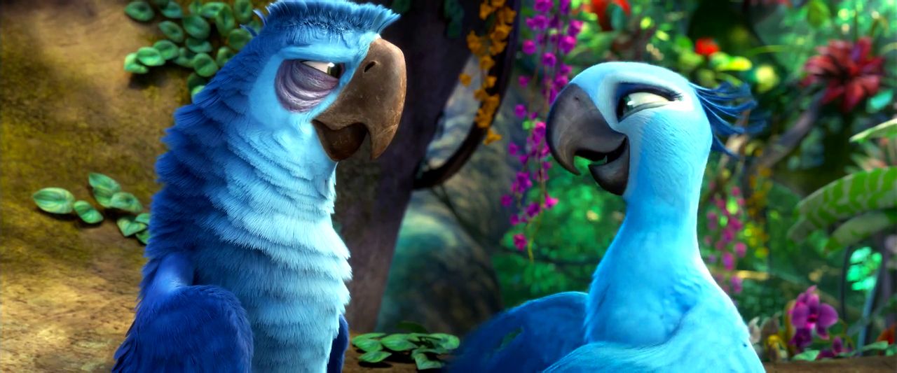  p>《里约大冒险2》( i>rio 2 /i>)是一部2014年美国3d电脑动画 a>