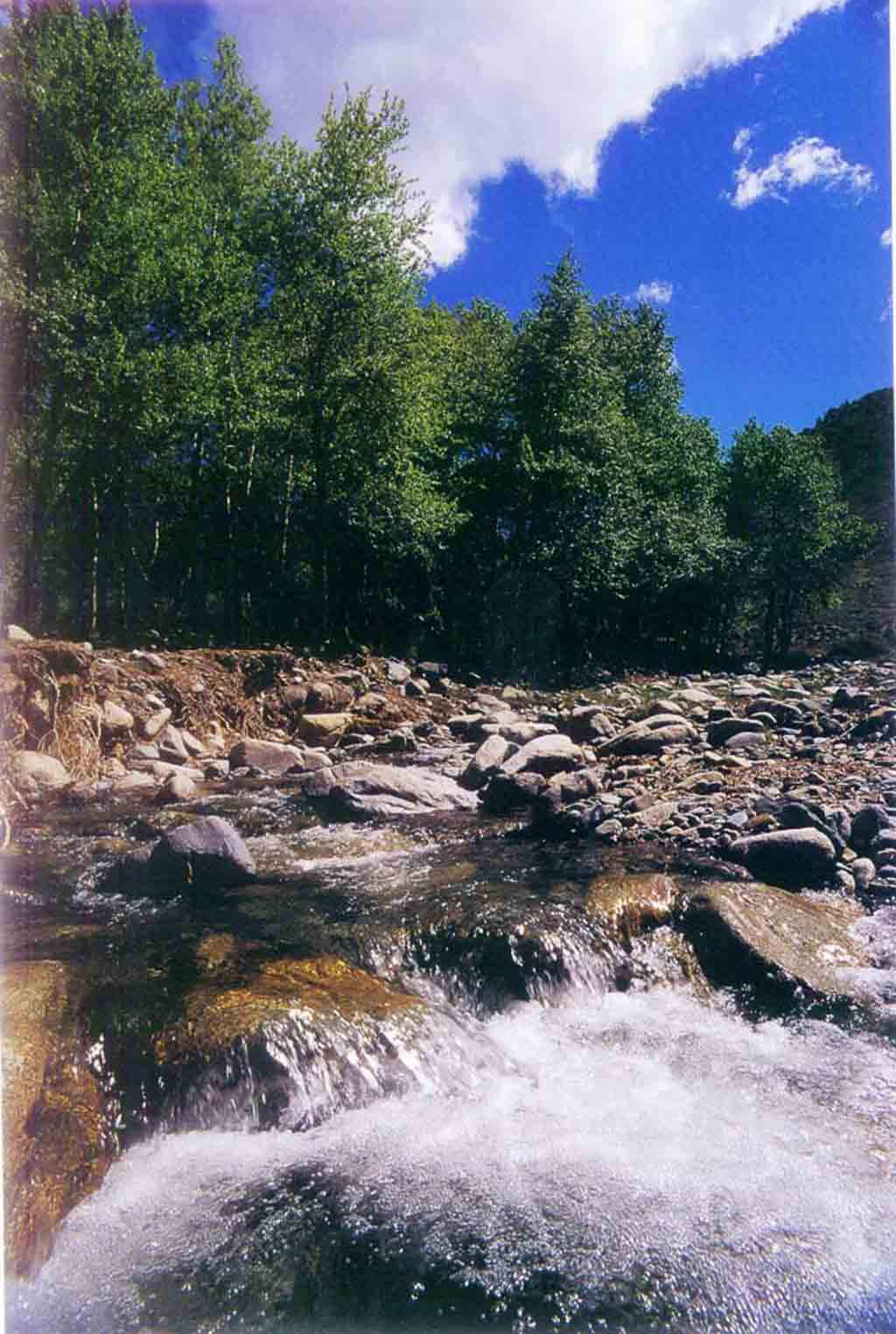  p data-id="gnwsxg0jpc">白石头位于新疆东部 a