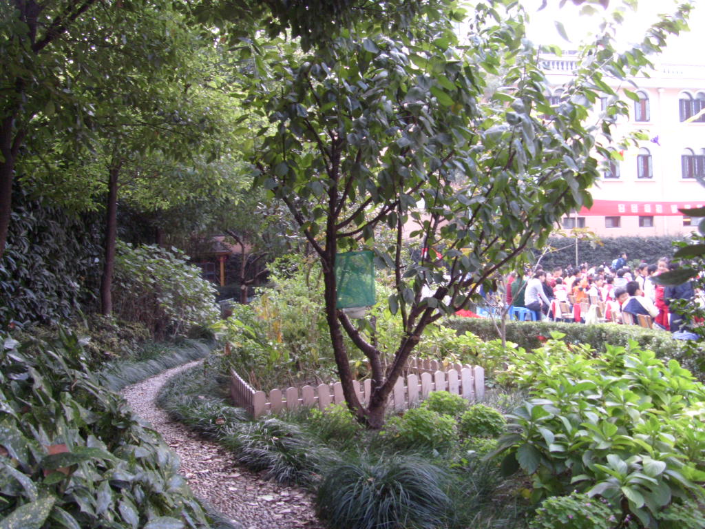 上海陈鹤琴小学