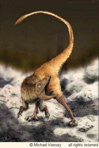  p>中华龙鸟生存于距今1.4亿年的早白垩世.