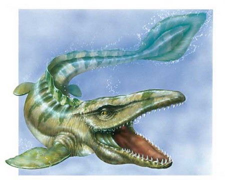  p>克柔龙(属名:kronosaurus)又名克诺龙, a h