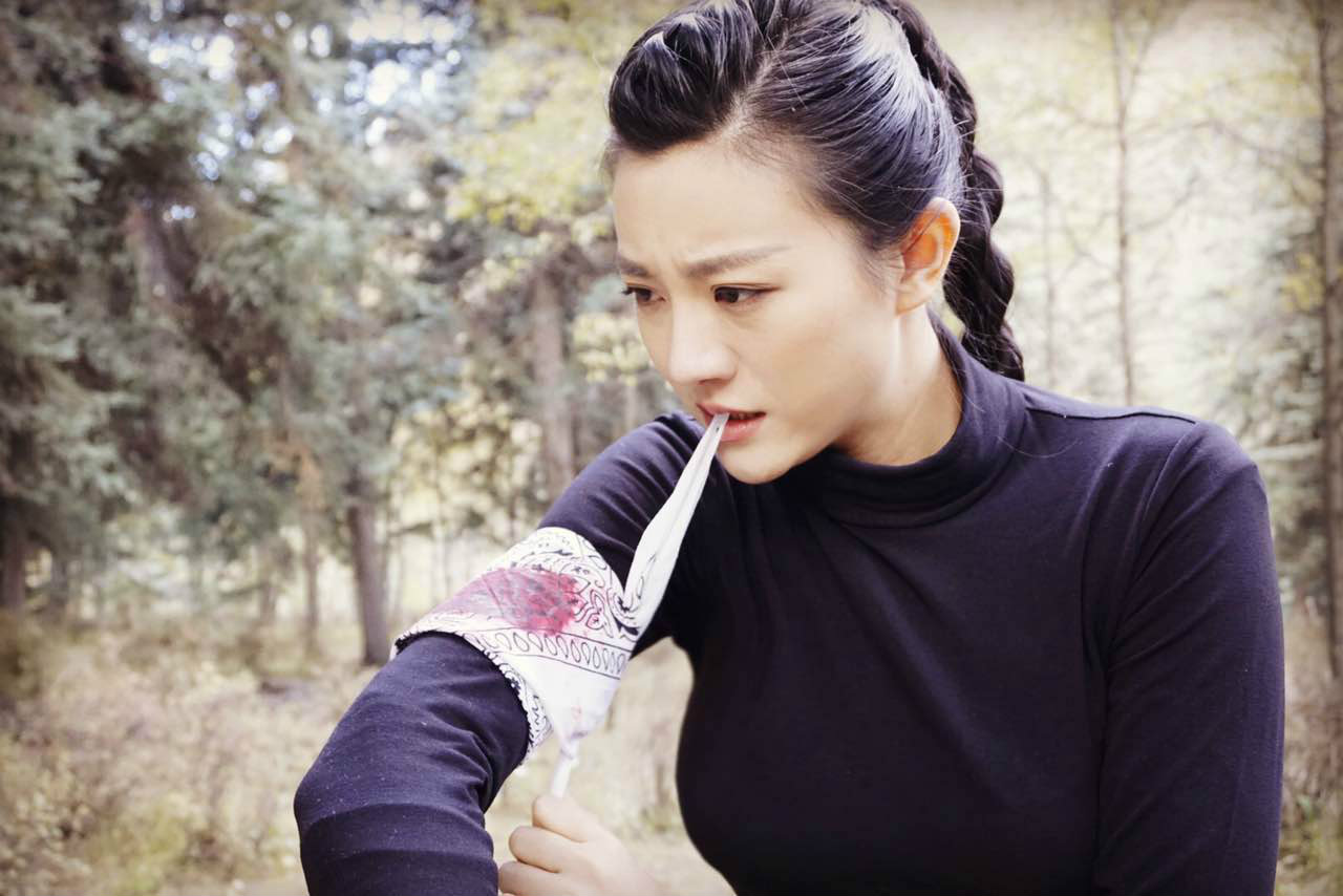 藏地密码