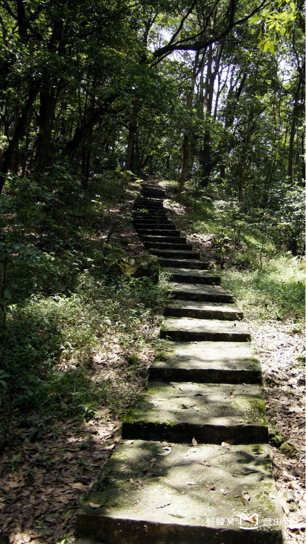  p>大帽山位于福建省龙海市白水镇,海拔794米,系闽南四大名山之一.