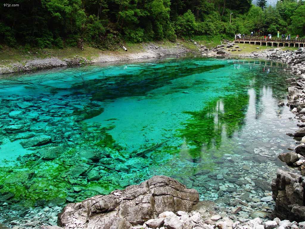 水绵