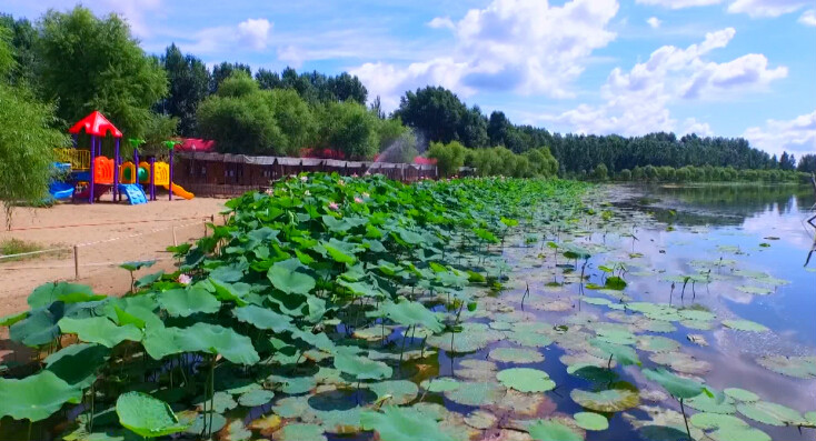哈尔滨运粮湖风景区