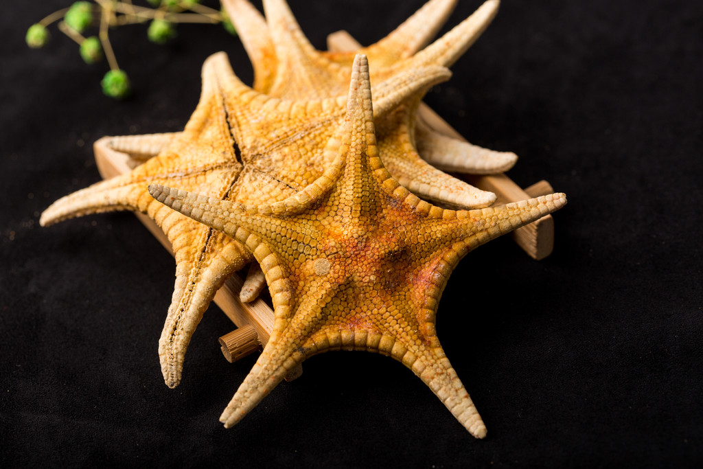  p>海燕asterinidae, a target="_blank" href="/item/海星/33491"