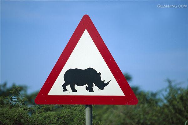  p>黑犀,学名: i> /i> i>diceros bicornis  /i>(linnaeus, 1758), a