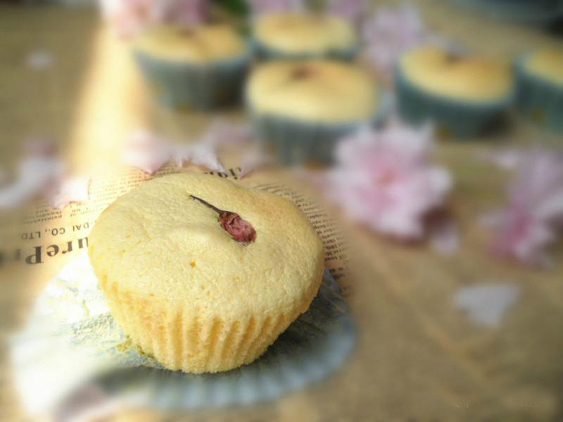  p>有了 a target="_blank" href="/item/盐渍樱花/17095146" data