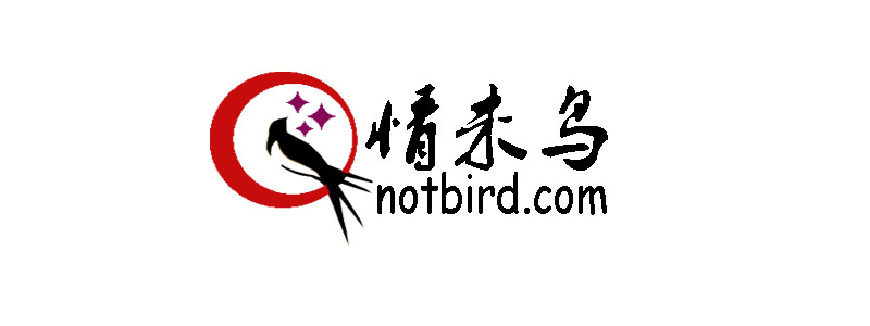 情未鸟饰品