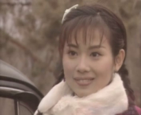 参演电视剧作品（1989-2008）