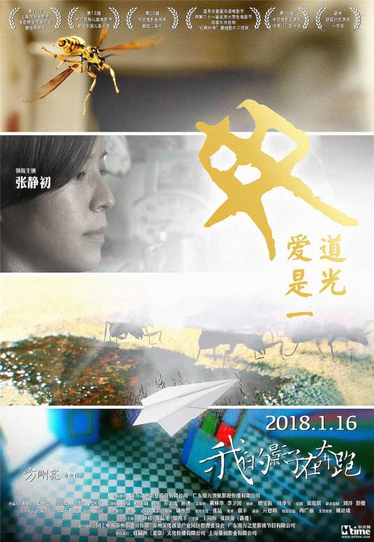 我的影子在奔跑