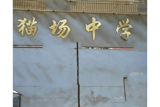 织金县猫场中学