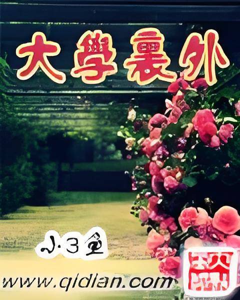 大学里外_百度百科
