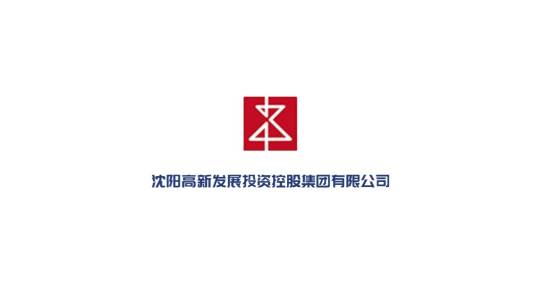 沈阳高新发展投资控股集团有限公司_百度百科