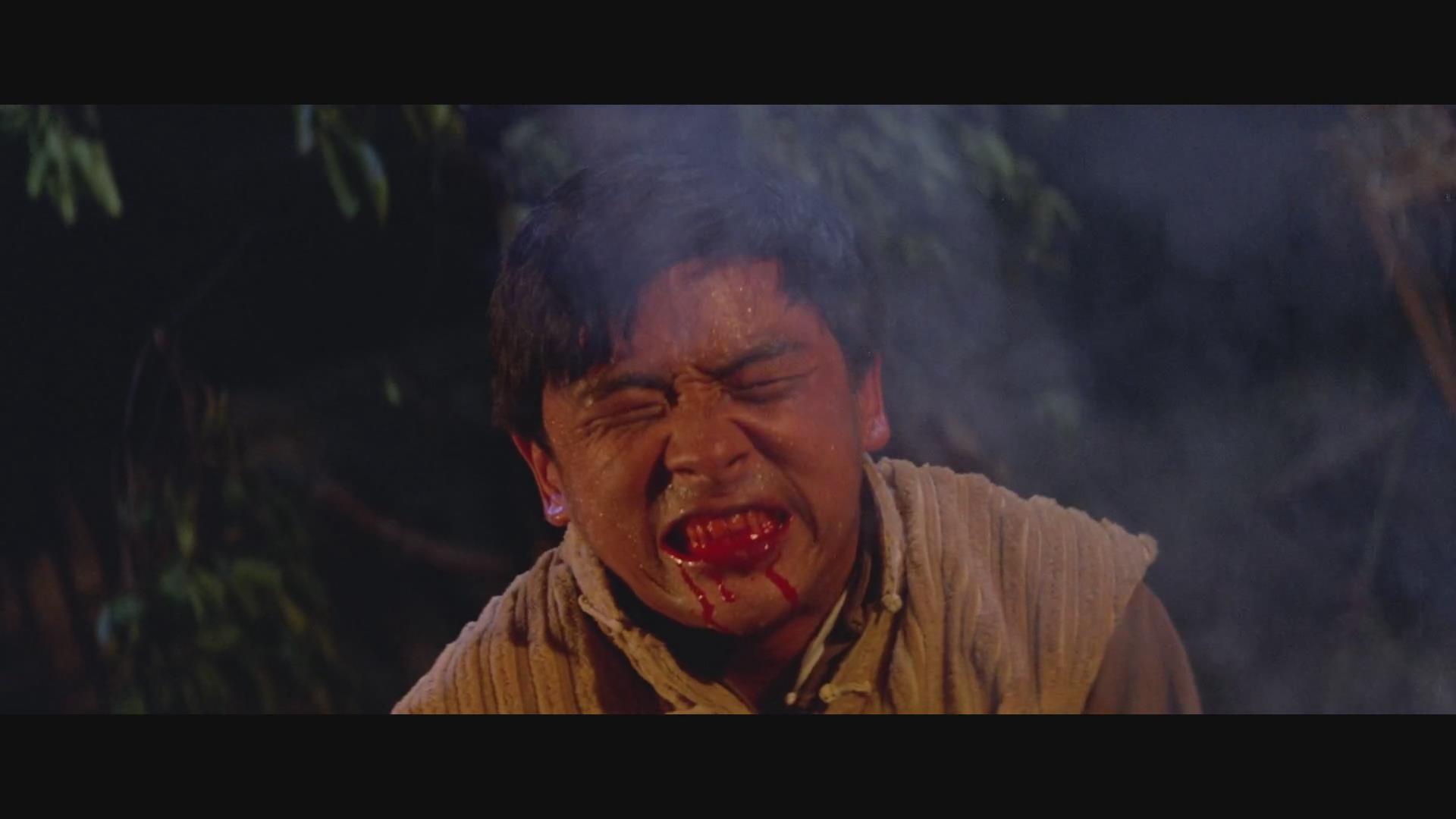 是一部武打电影,导演:  a target="_blank" href="/item/王羽/67132"