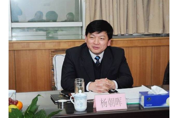 杨朝晖