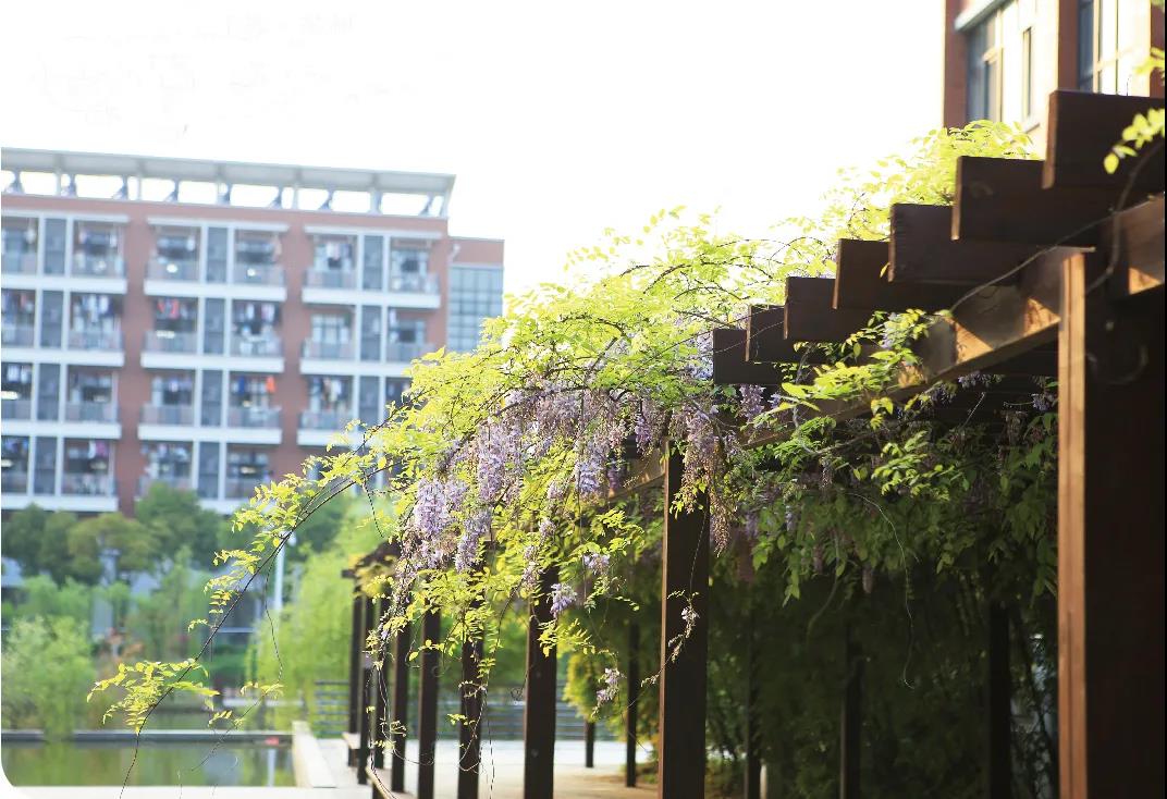 沙洲职业工学院