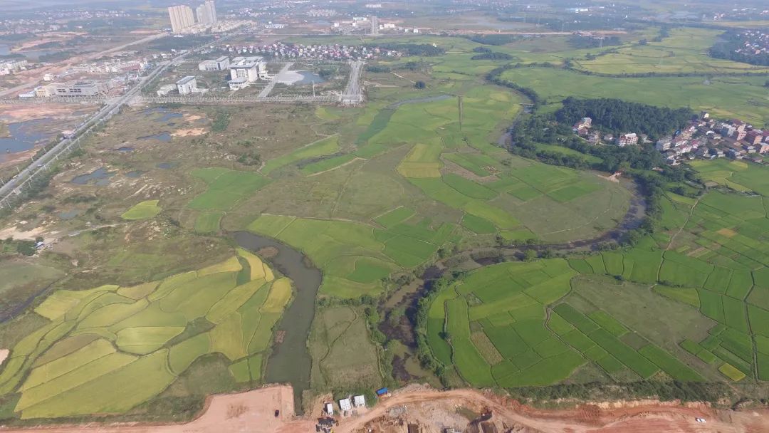 角山板栗山遗址