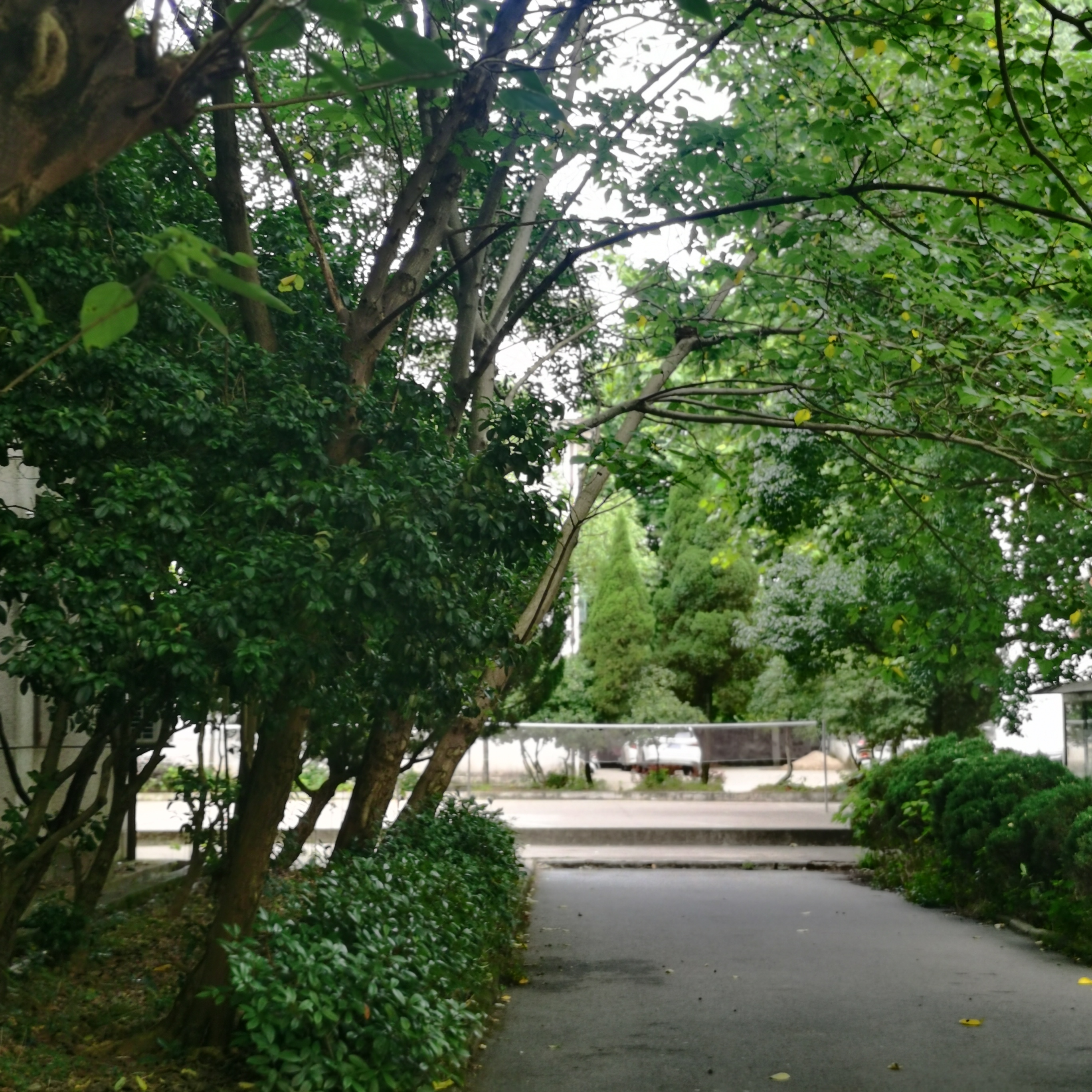 class="ref" data-ctrid="t90djyzcpuqc">江西省鹰潭市余江区桃李学校