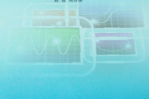  p></p></a>《临床常见疾病的中西医结合诊断与治疗》是天津科技翻译出版公司