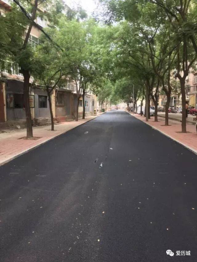 洪家楼街道