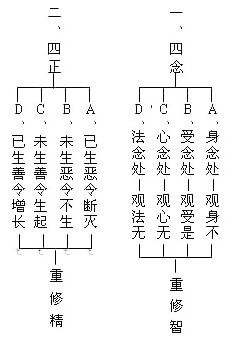 三十七道品