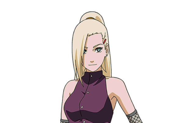 山中井野【疾风传】