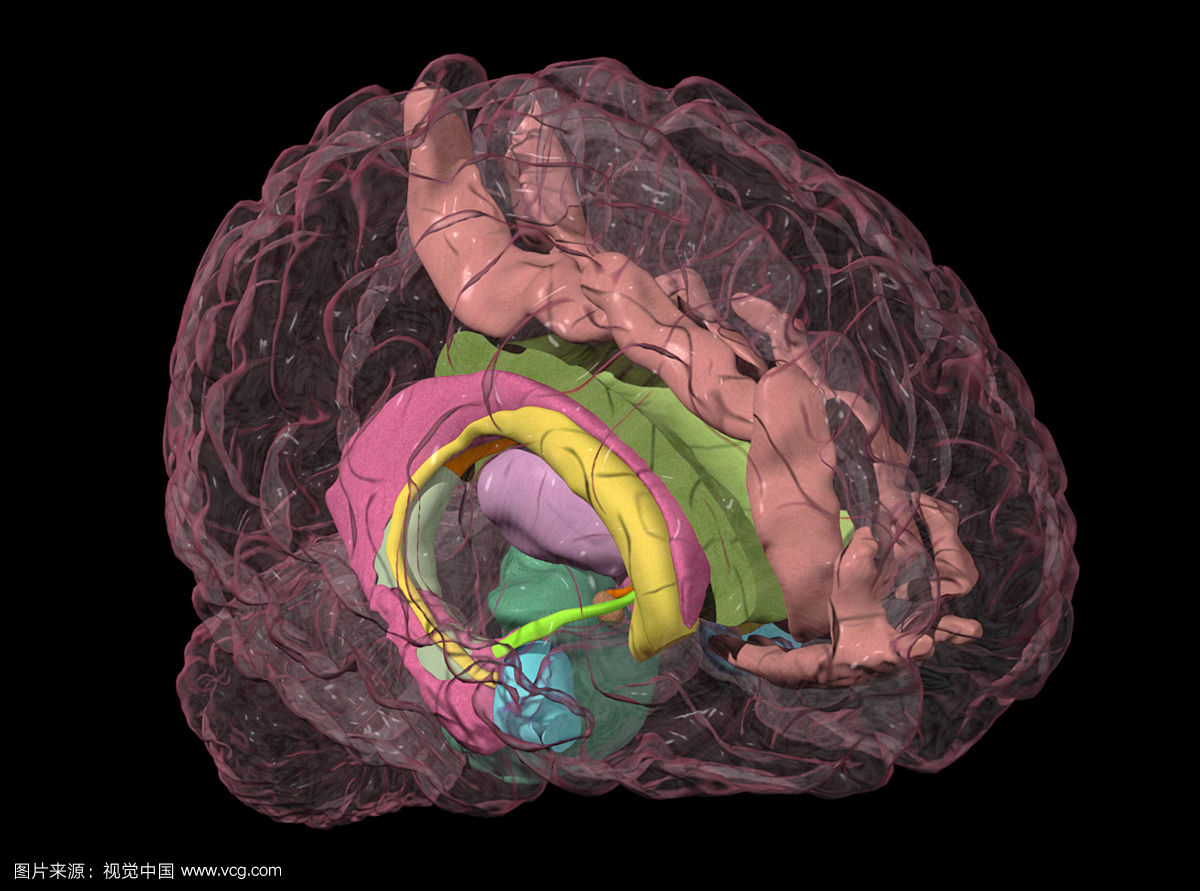  p>杏仁核,又名 a target="_blank" href="/it