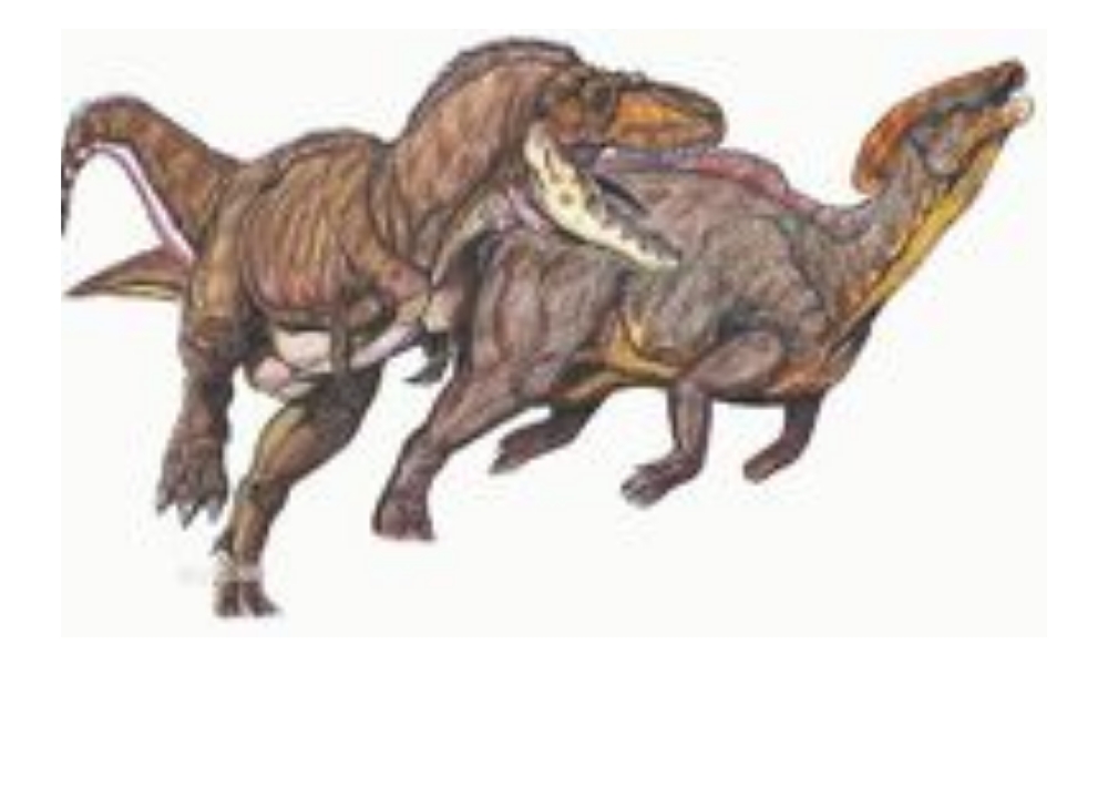 世/2811861" data-lemmaid="2811861">晚白垩世 /a>的一种小型恐龙